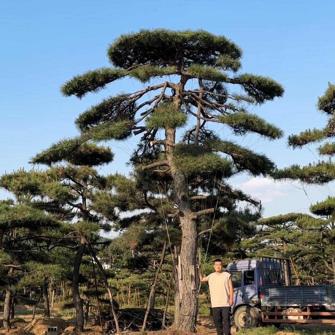 济南市恒达园艺有限公司