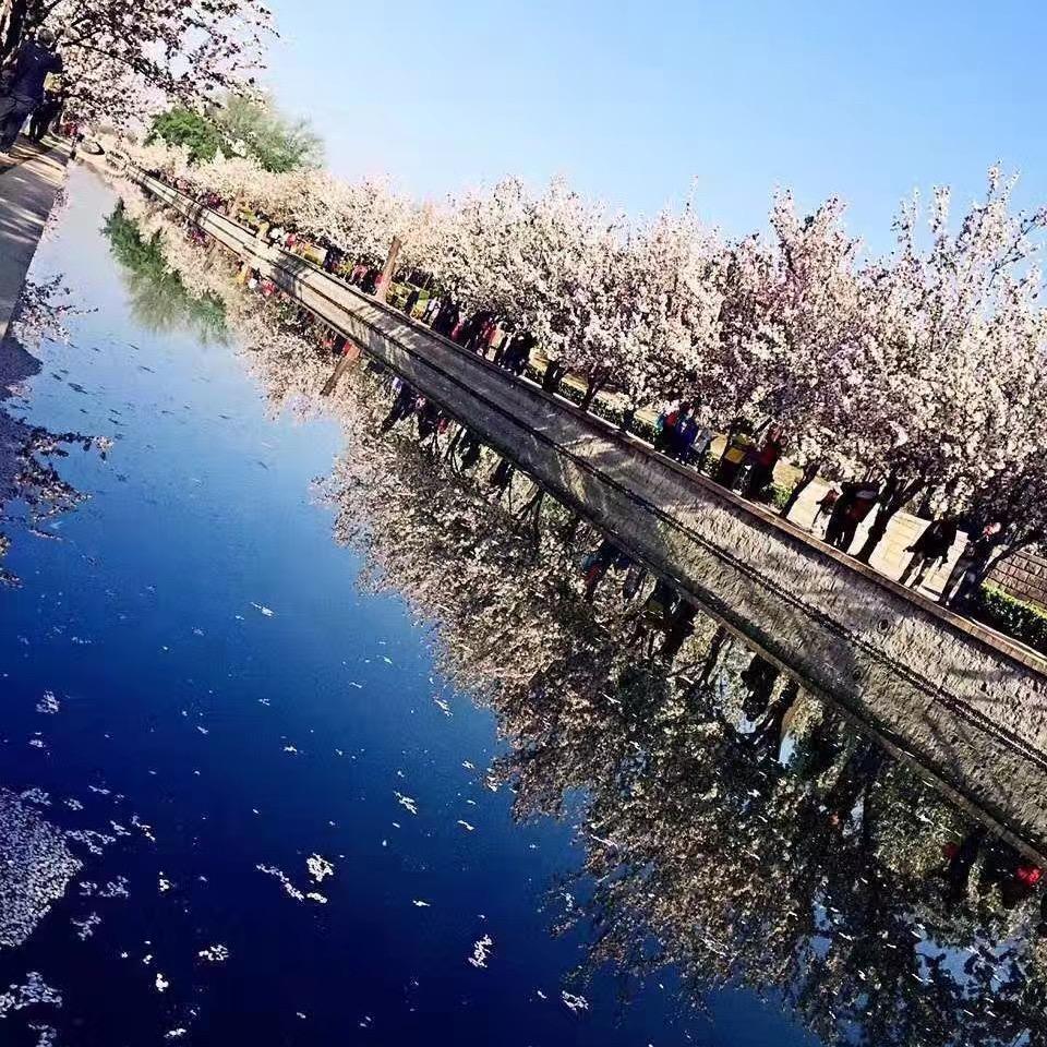 销冠小张同学•免费出装修设计