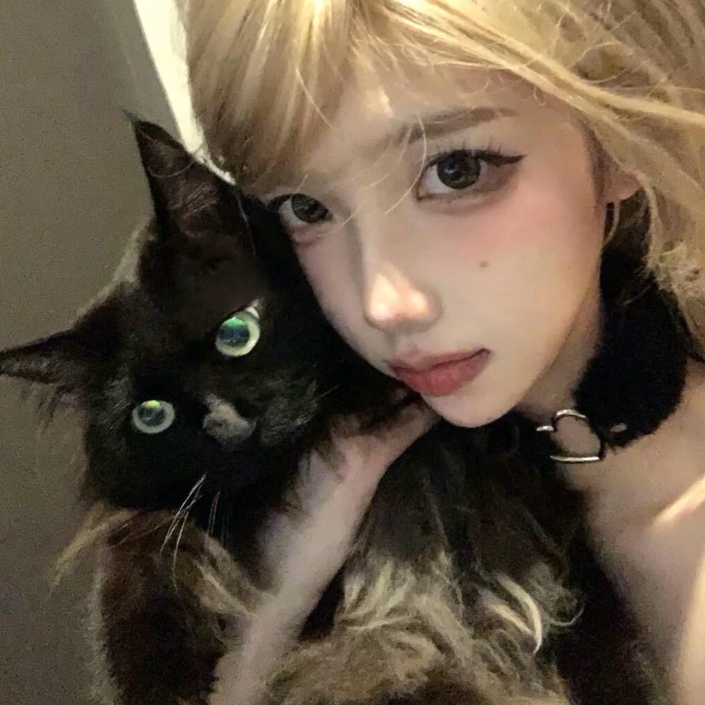 喵妃🦋