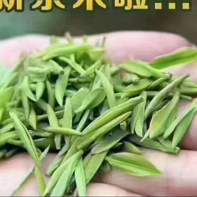 嘤嘤怪