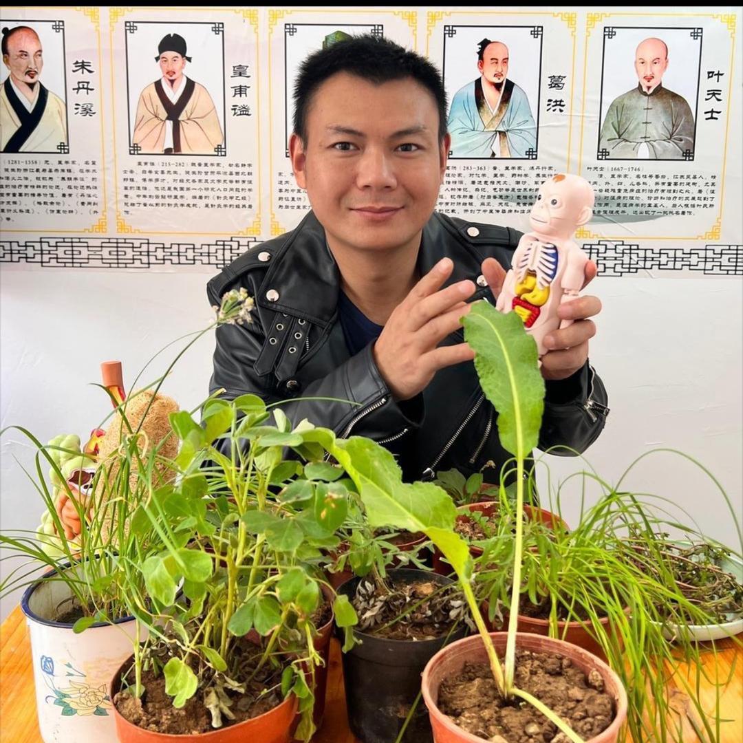 汪涛识百草2