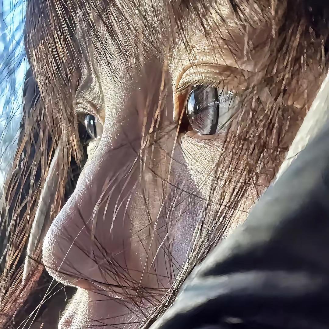 昭景