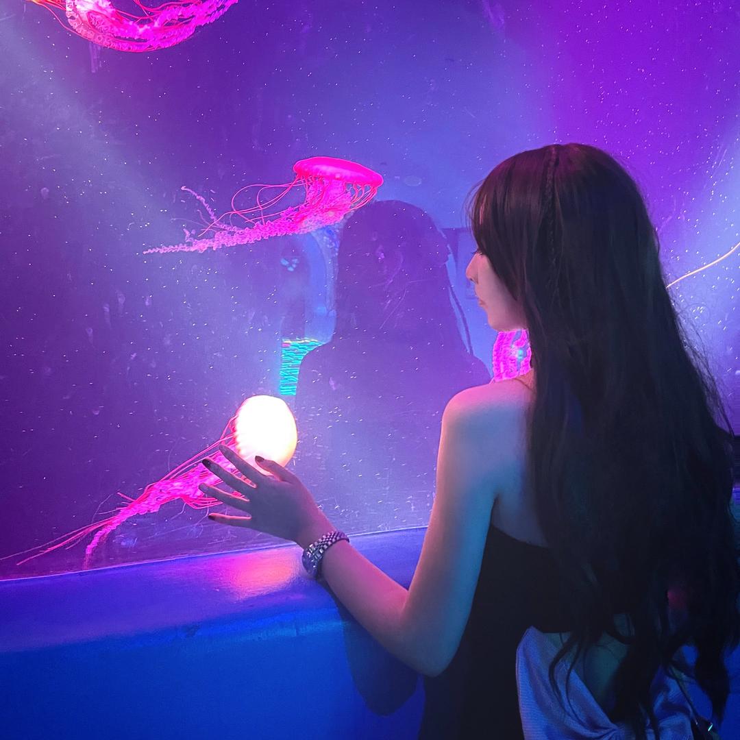 小芬（必发财版💰