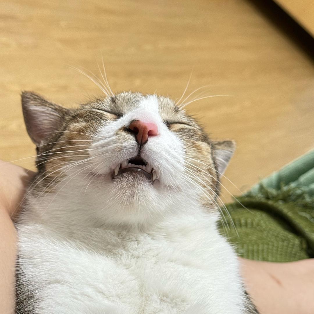 早早早点睡๑๑