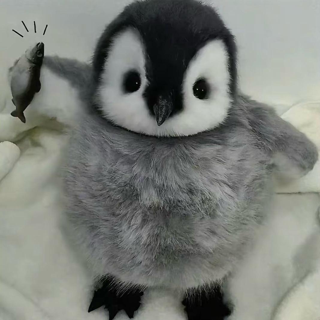 她知道风从哪个方向来.