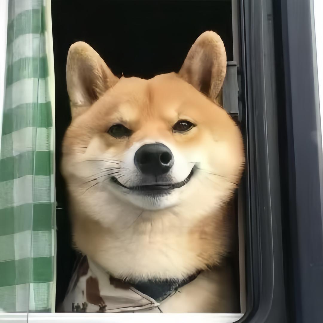 ㅤㅤㅤㅤㅤㅤ说晚安～