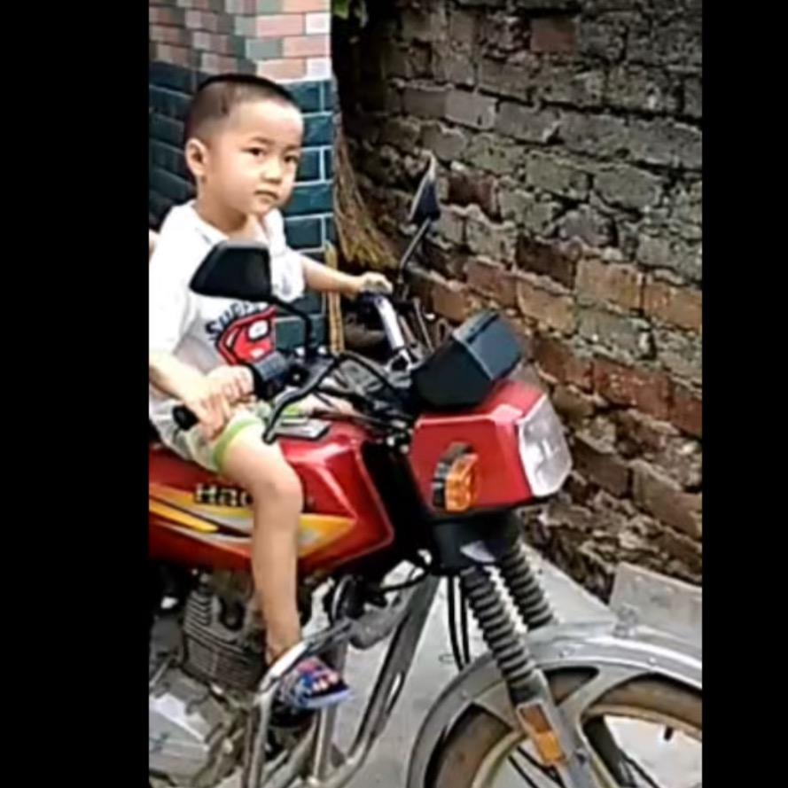 小陽