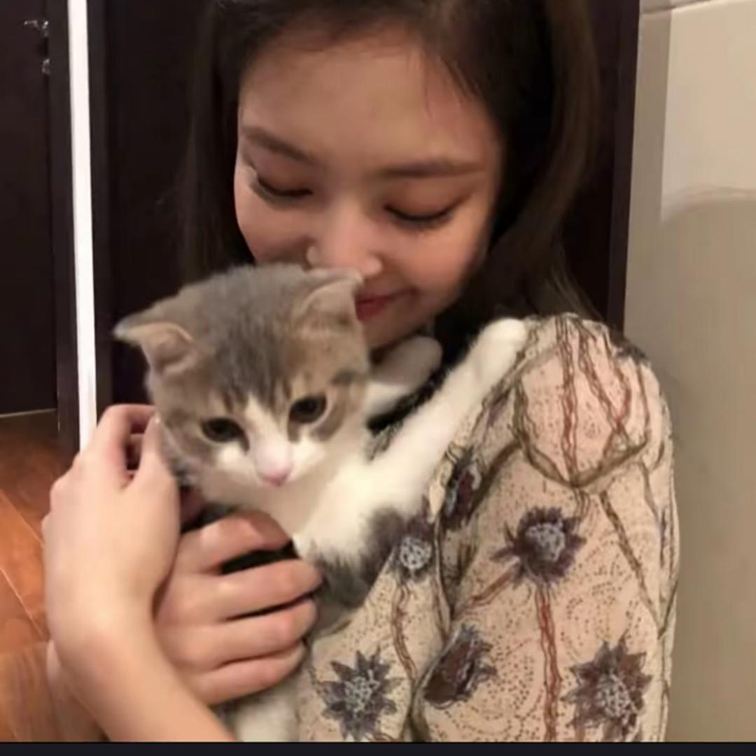 顾公子❗️
