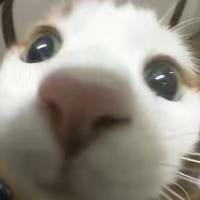 梅菜扣肉MCKR