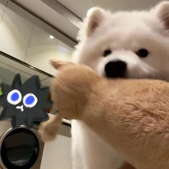 宝汁