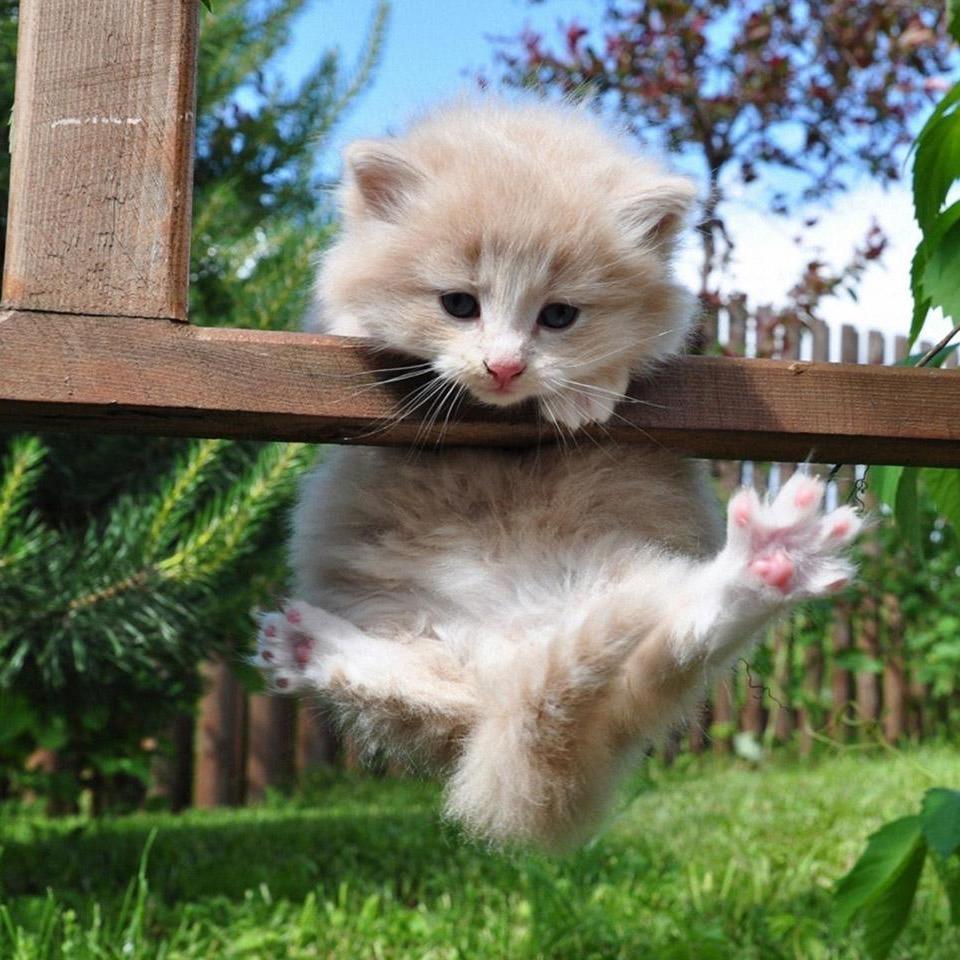 开心的笑哦。😁