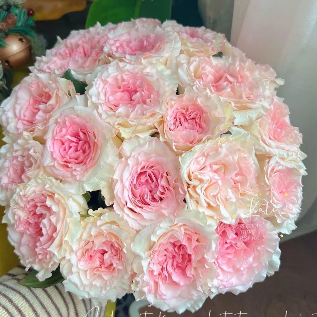 云南花言