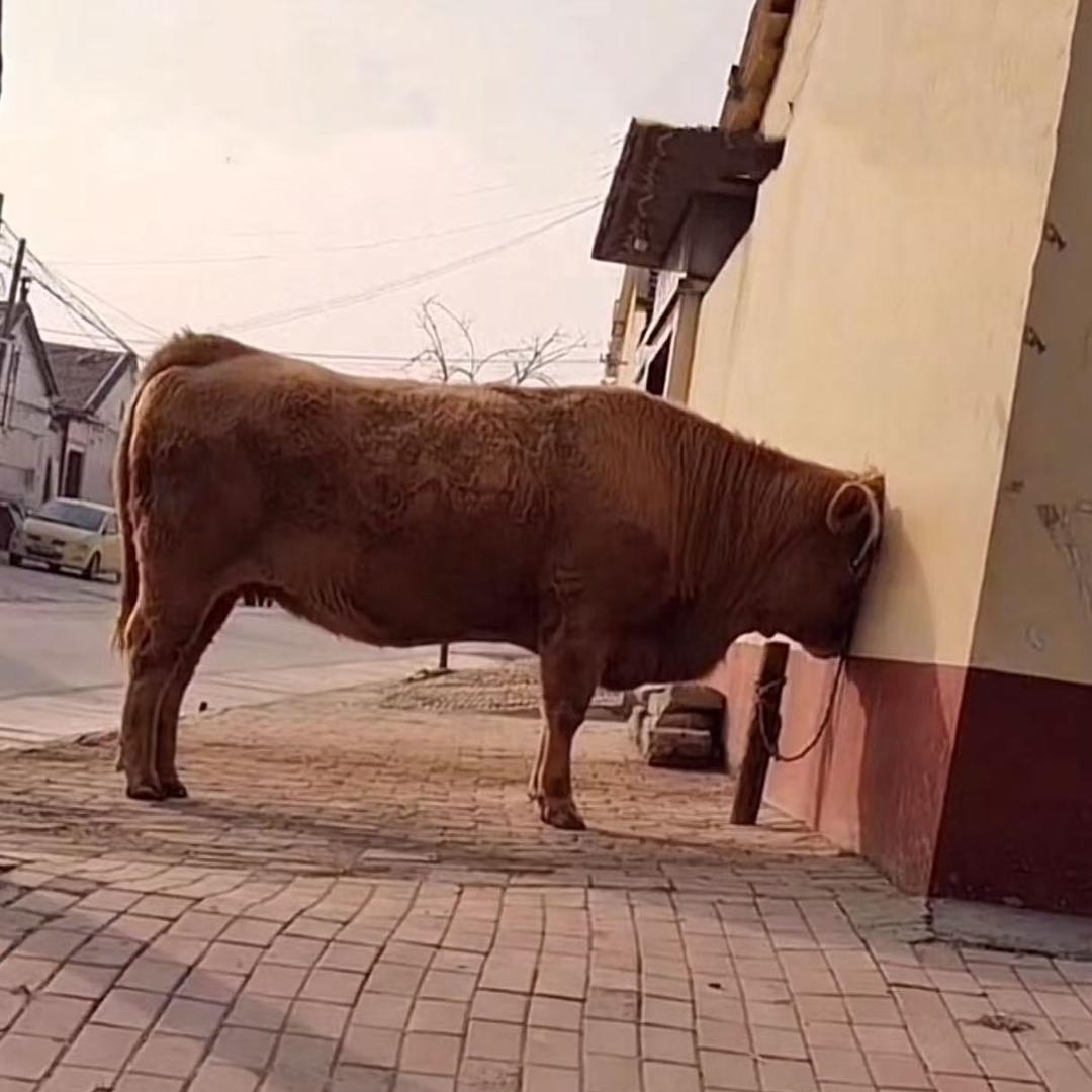 QQ台球