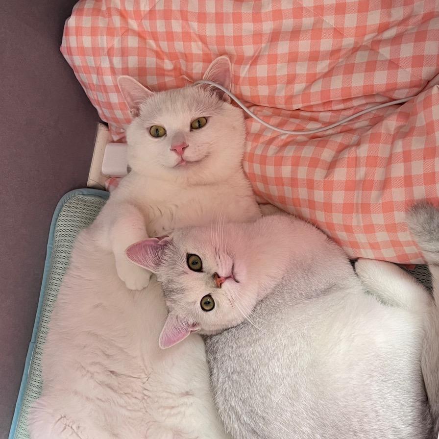 十一的朋友圈