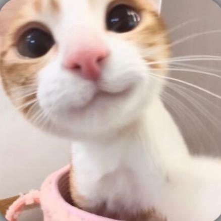 叶子不怕胖
