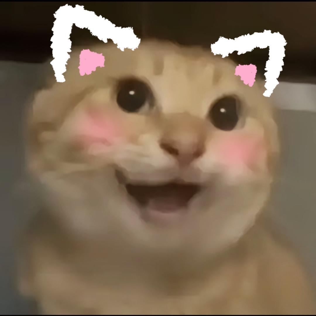 兔子啃月光🐰头像