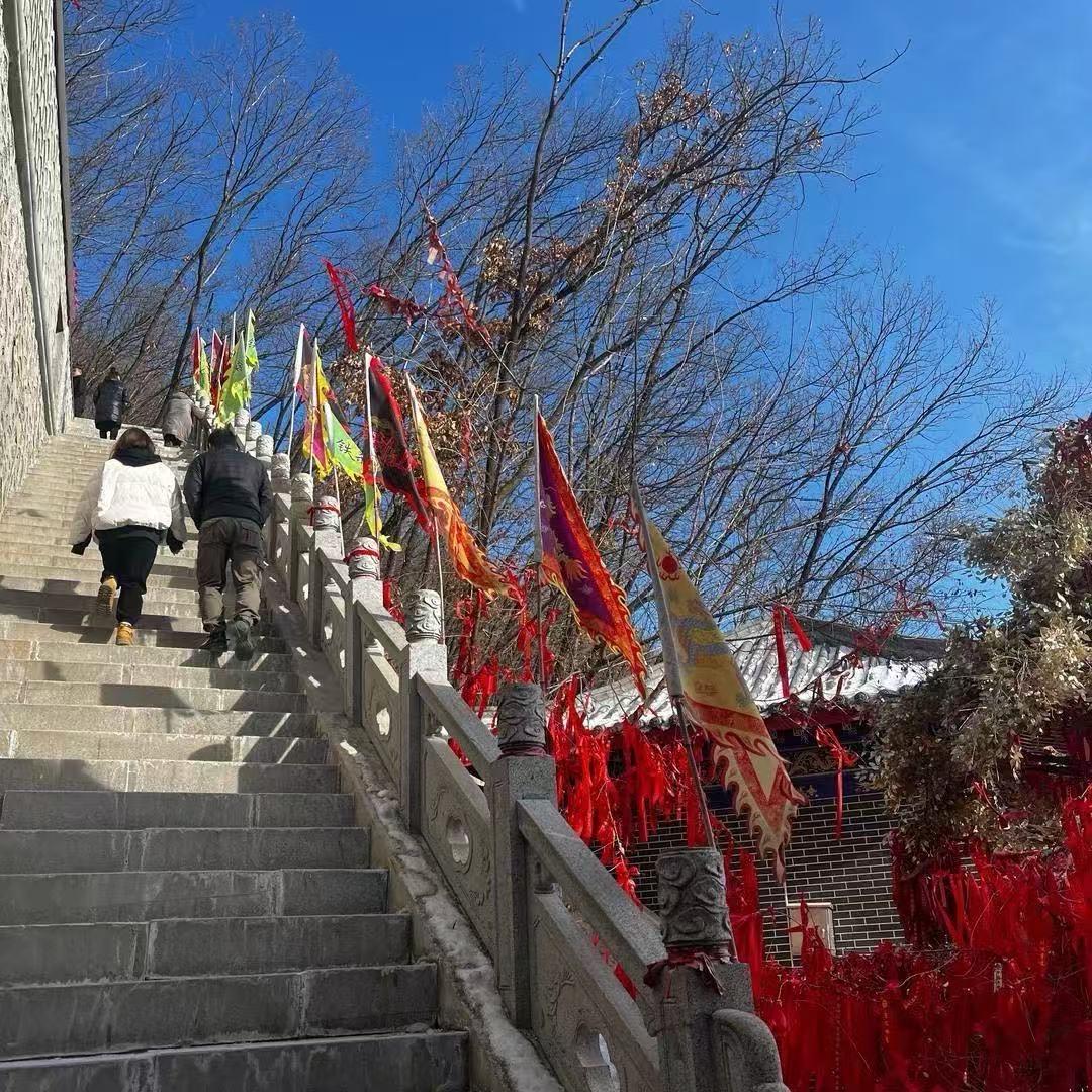 龙姑娘🐲16
