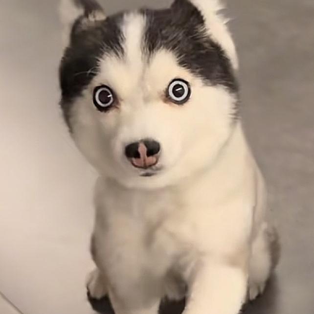 交心朋友企粤通臻选