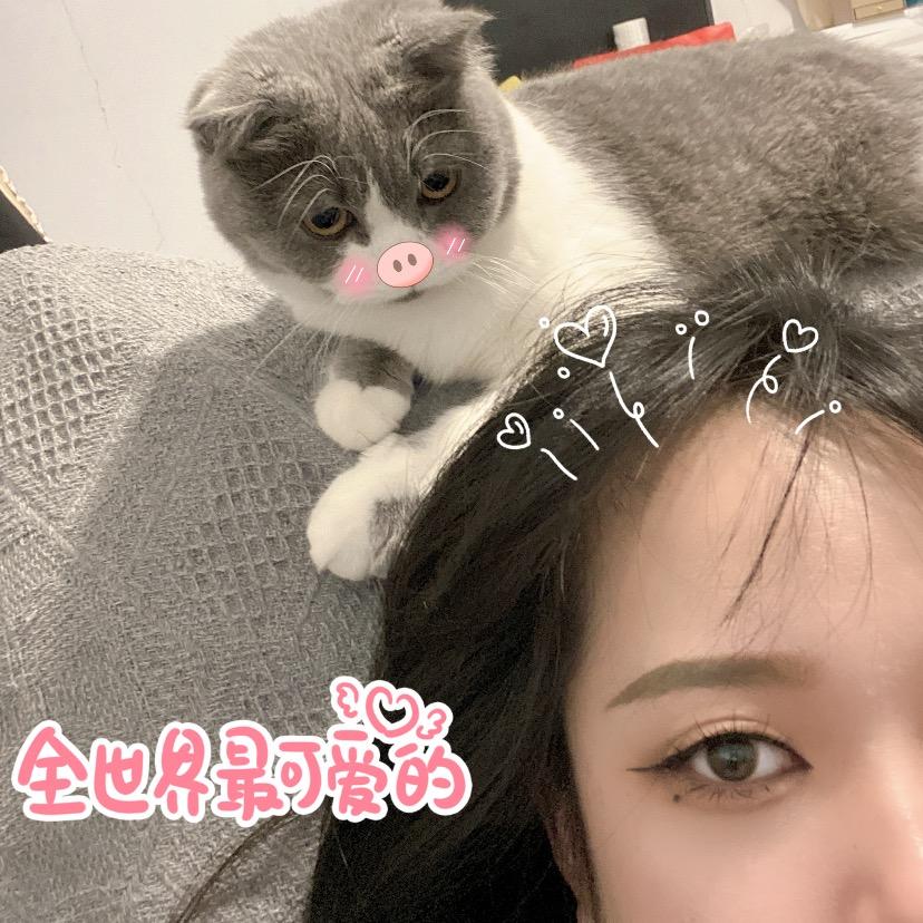 ゛九九睡不醒。