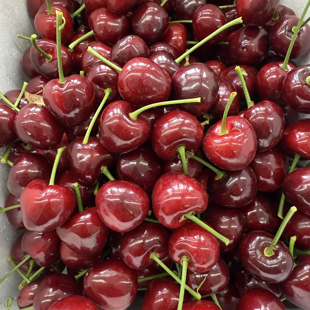 小开大连美早大樱桃