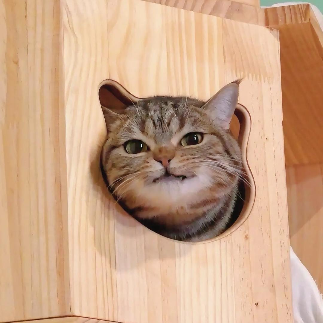 叉烧饭
