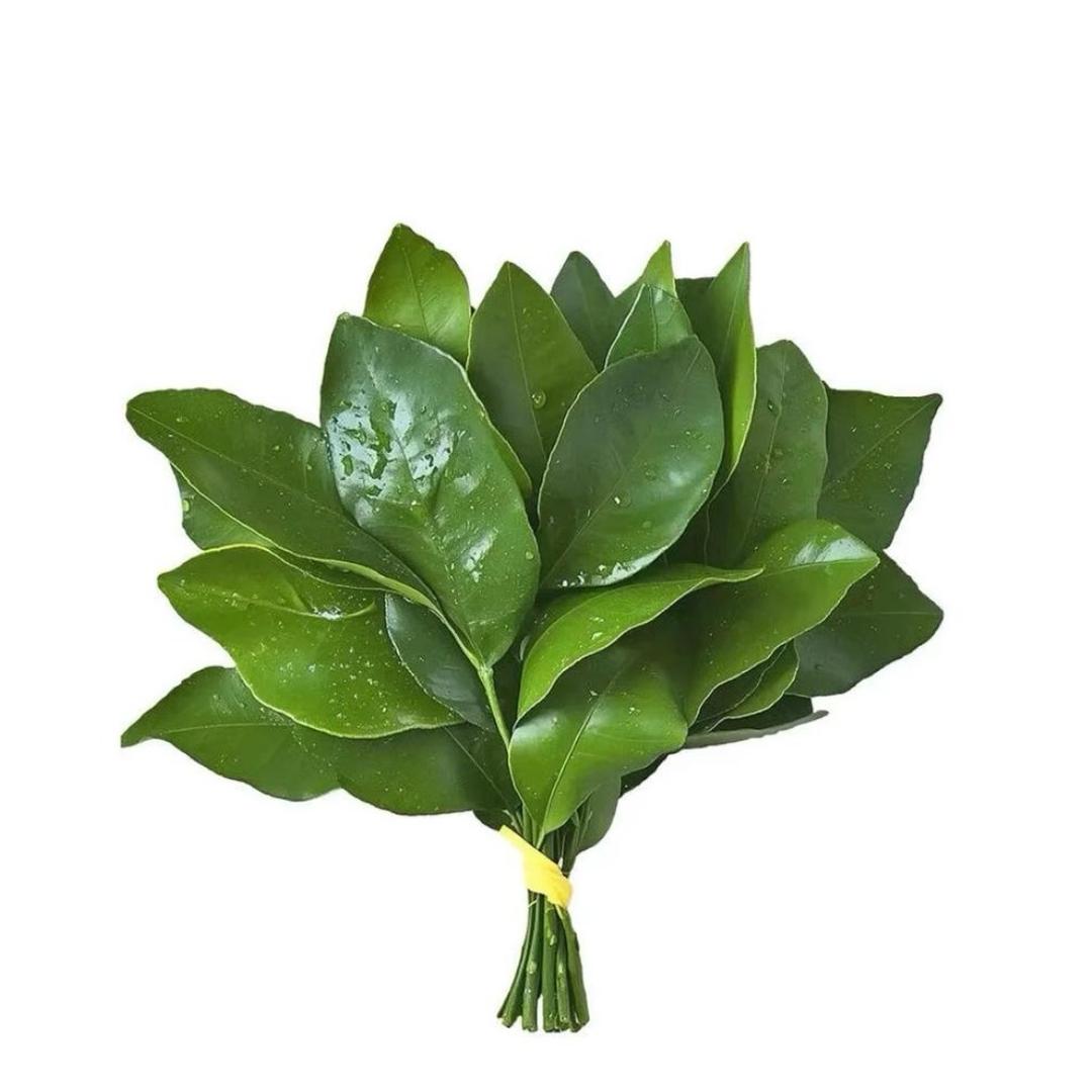 Ruthurina