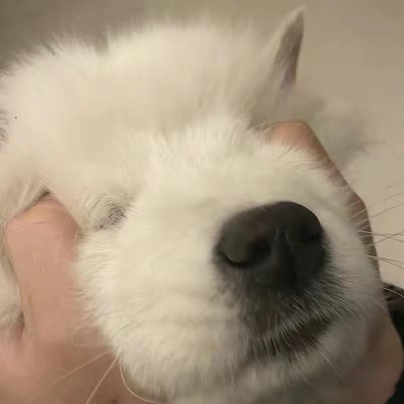 思念是一种病