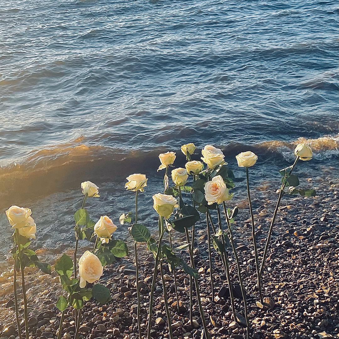移花家