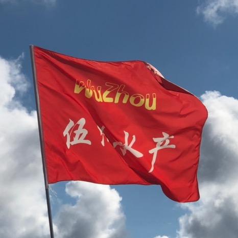 伍洲水产海鲜（野生鲳鳊鱼专卖）