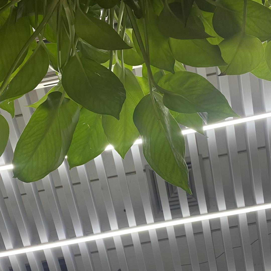 山东顺景法律咨询有限公司