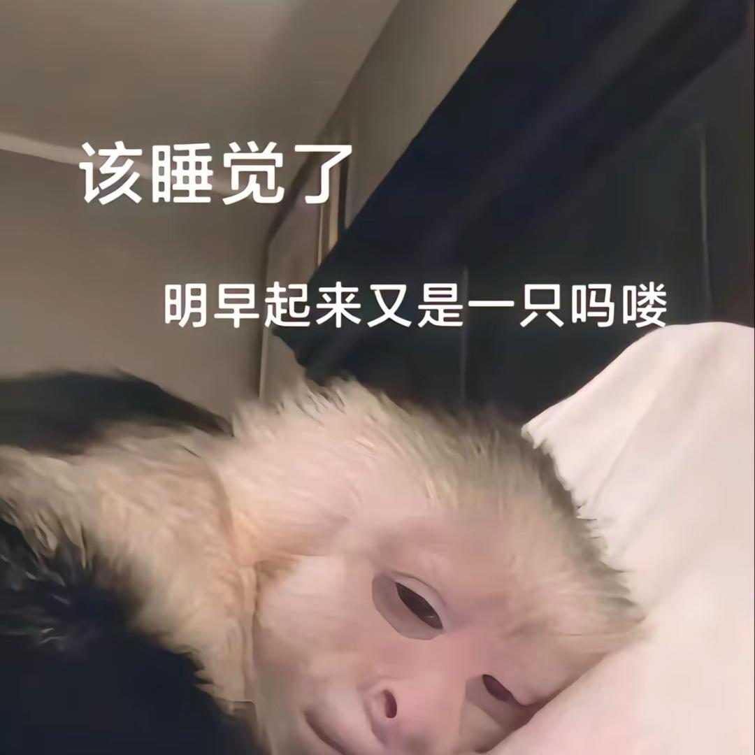 吗喽