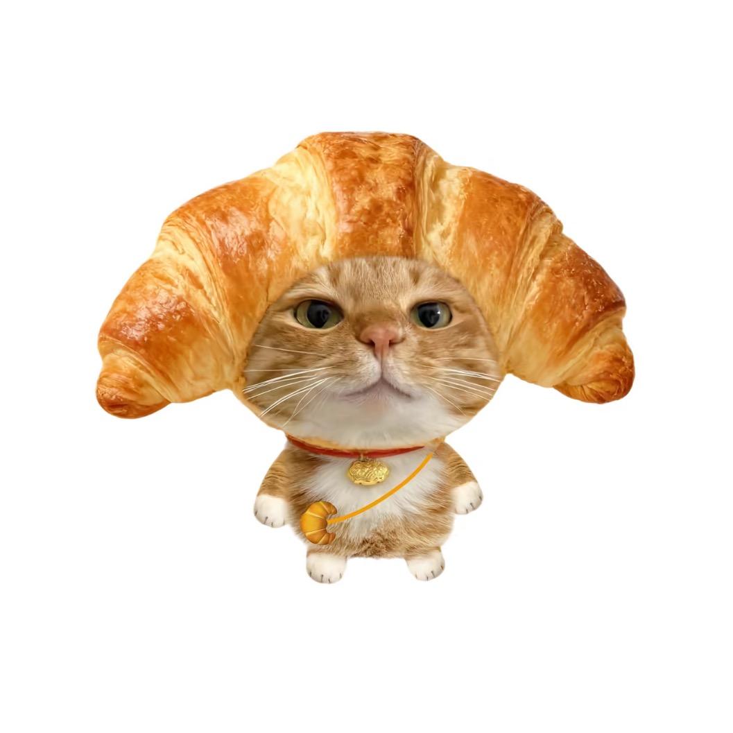 土豆就是破忒头