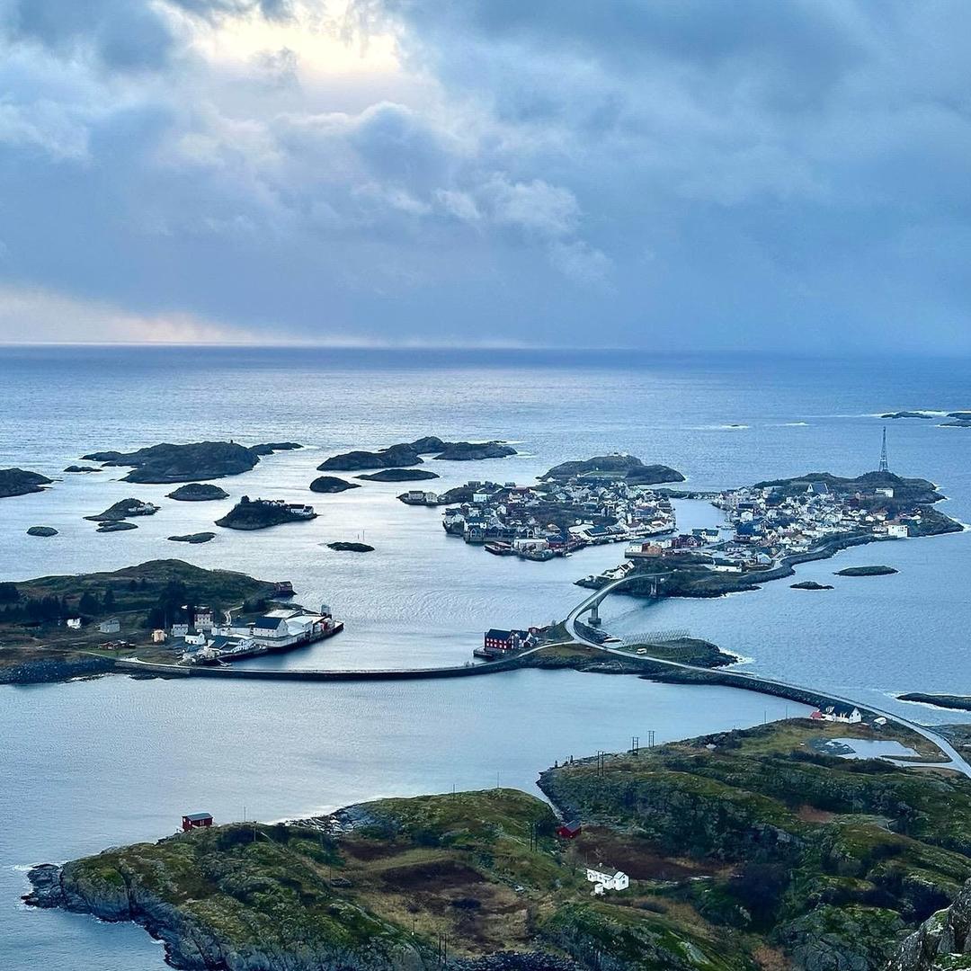 𝙁𝙧𝙚𝙚𝙙𝙤𝙢