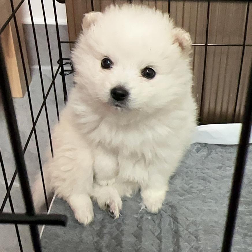 🌛月伴💫終生🫧