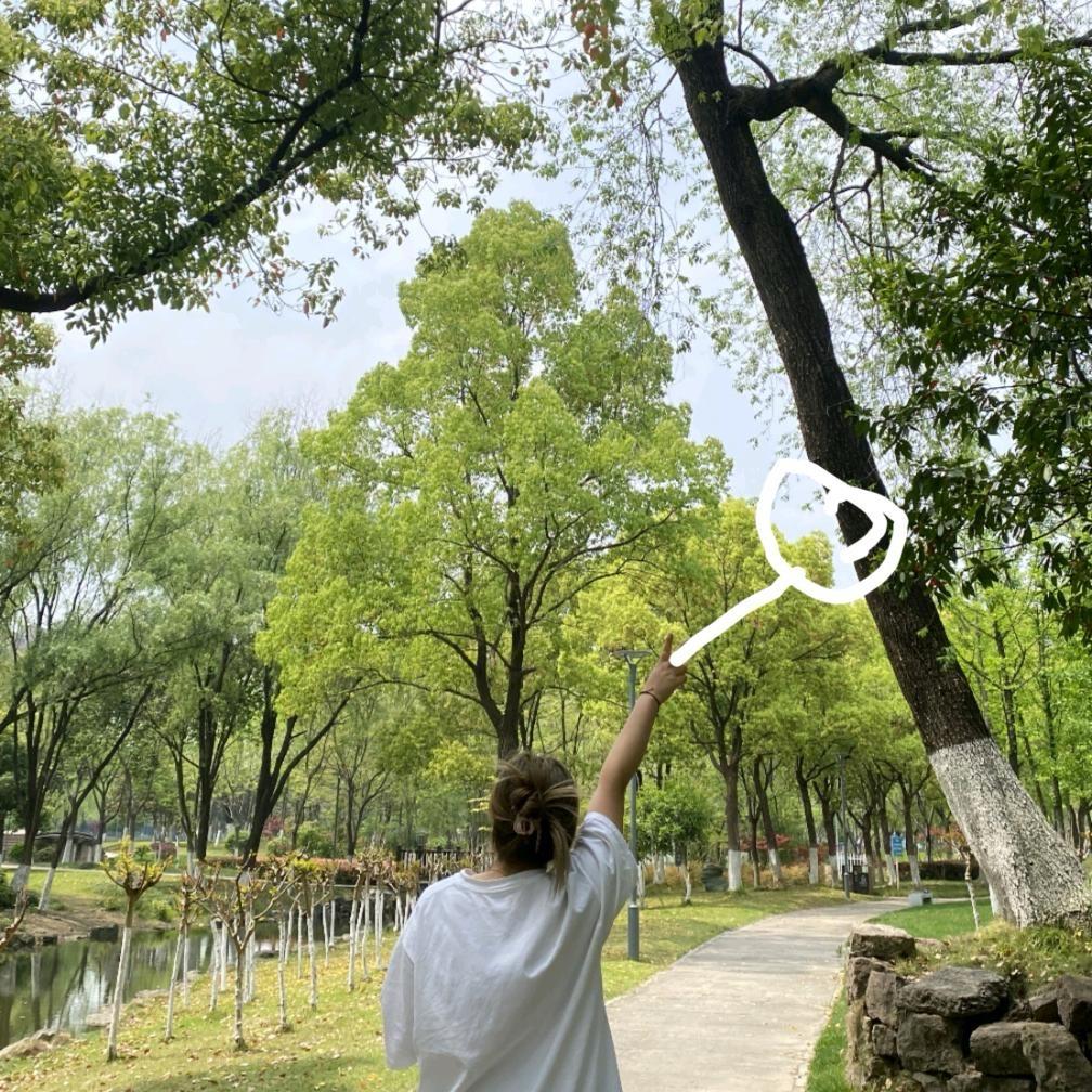 ～双双