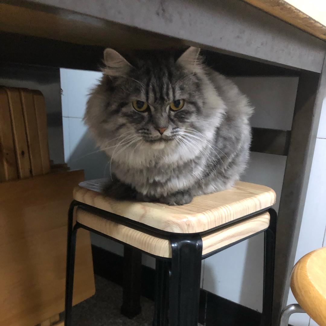 丨
