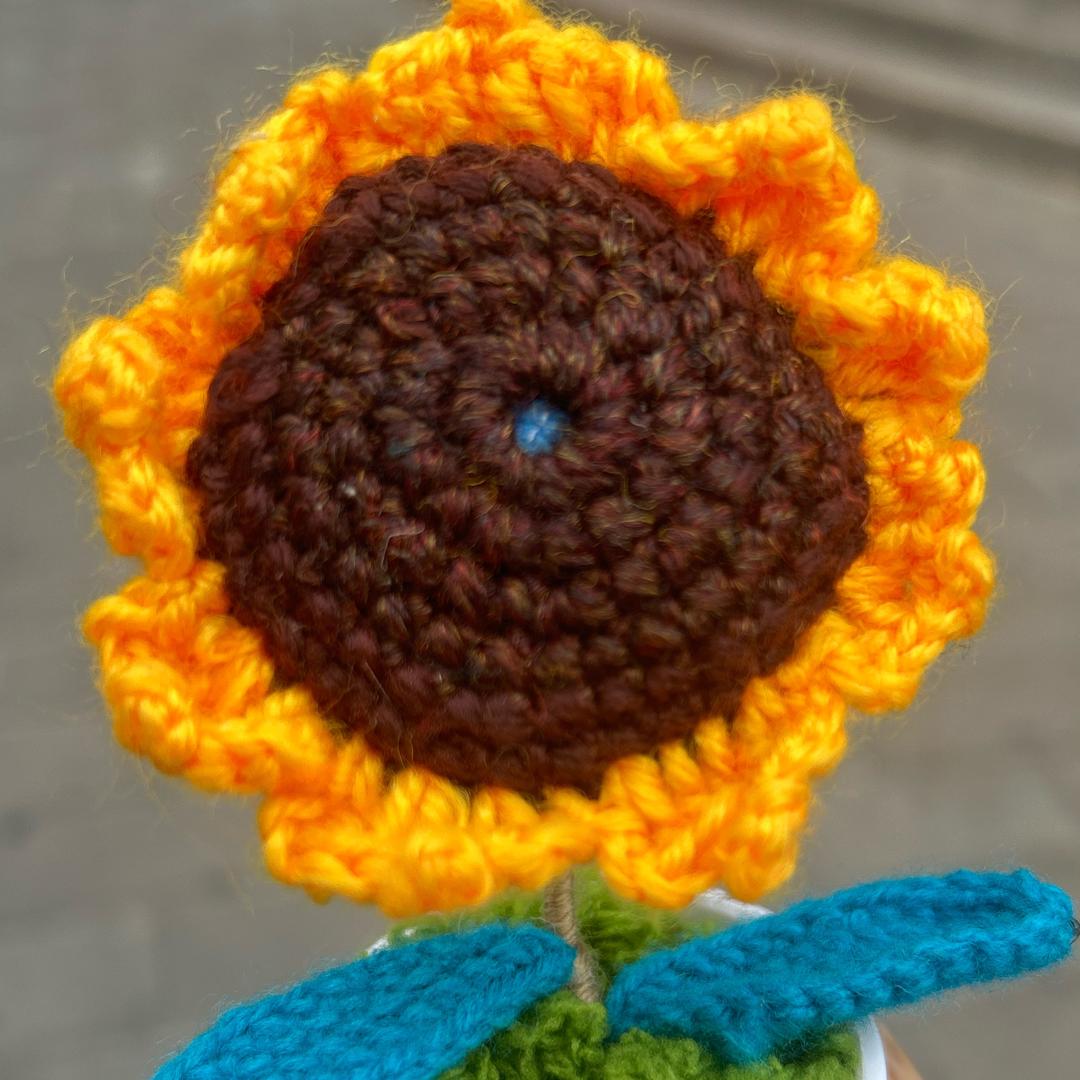 向日葵🌻