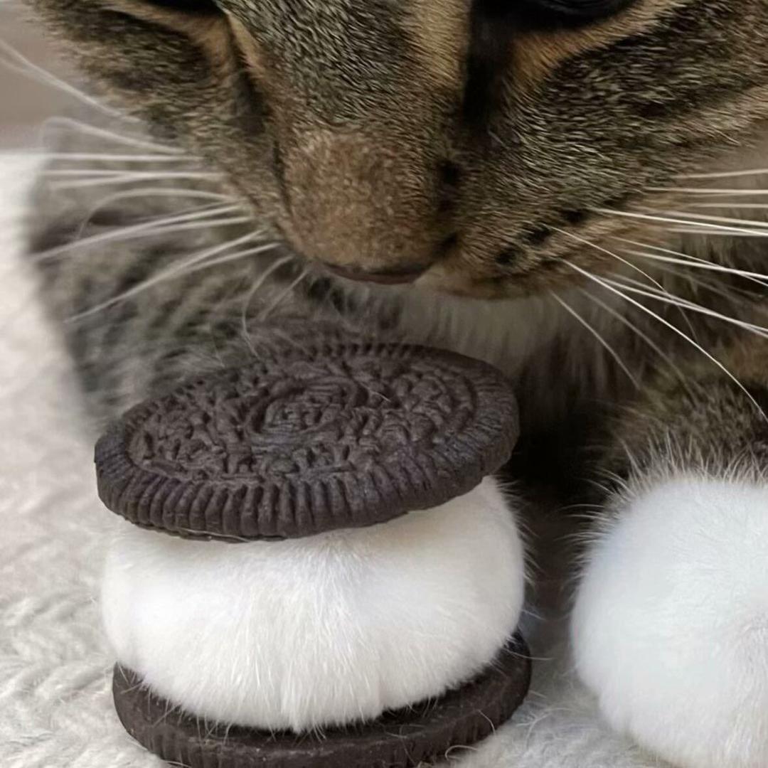 Ares（三角洲行动）