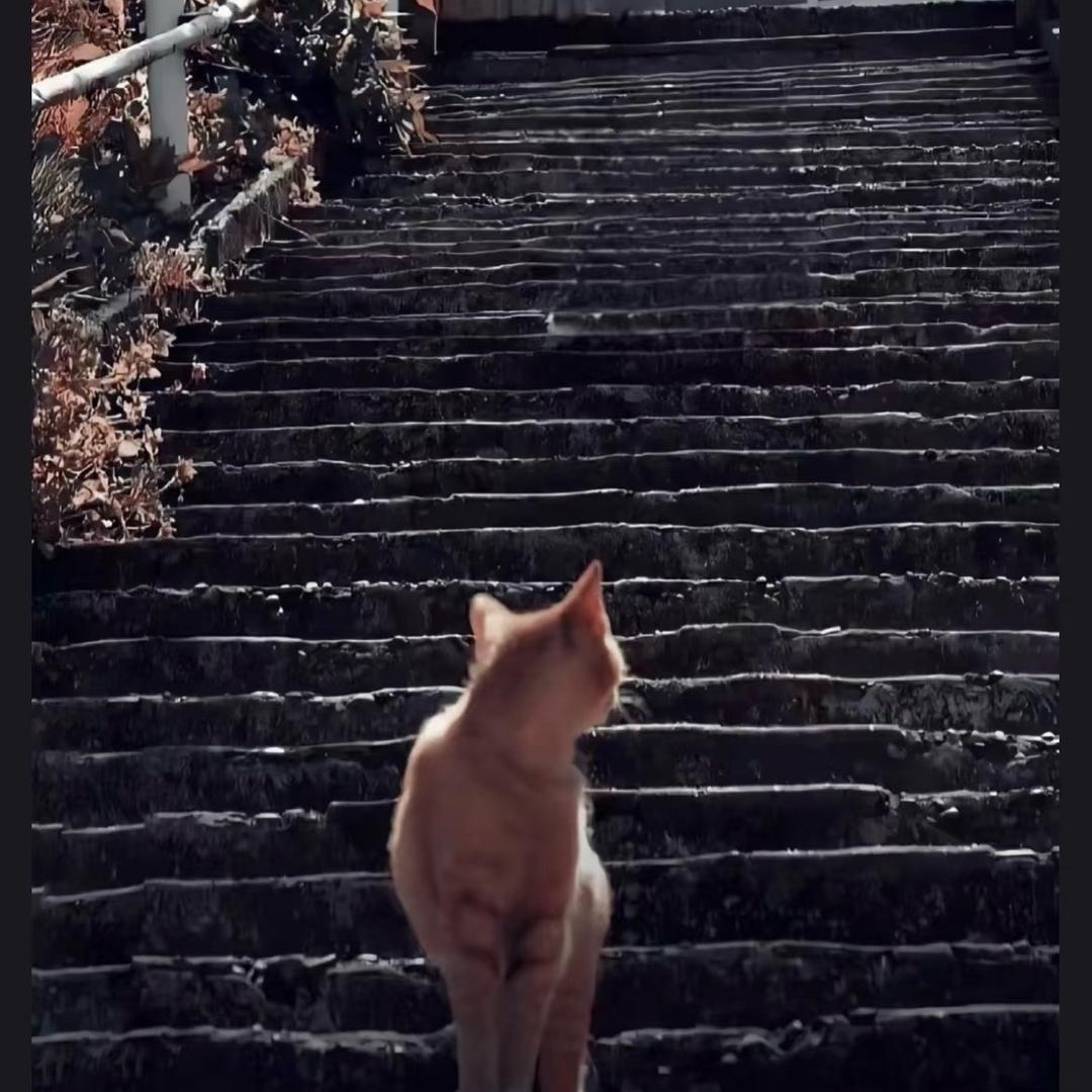 🔆、