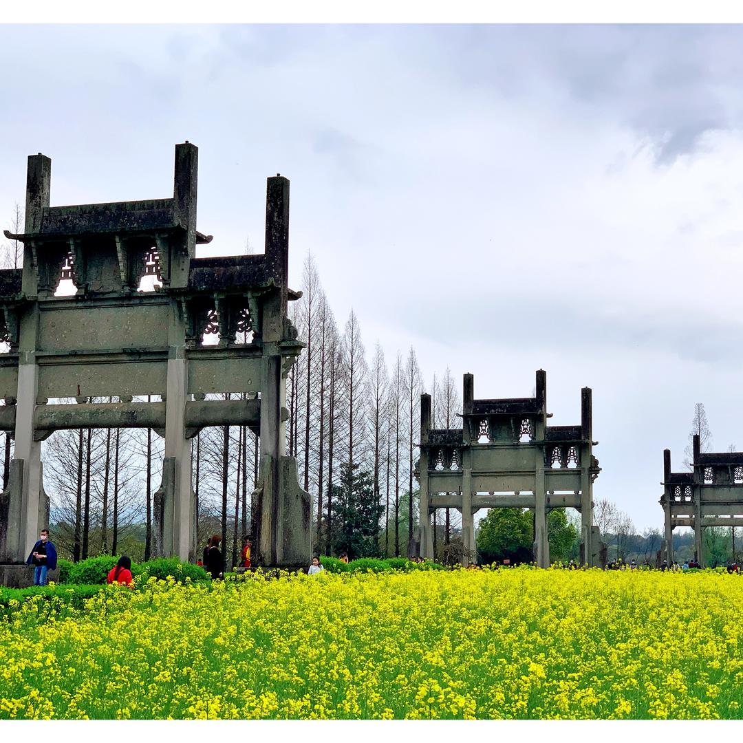 请叫我👉(🌴程默🌾)