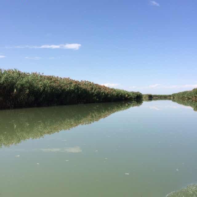 爱自己²⁶⁸⁸