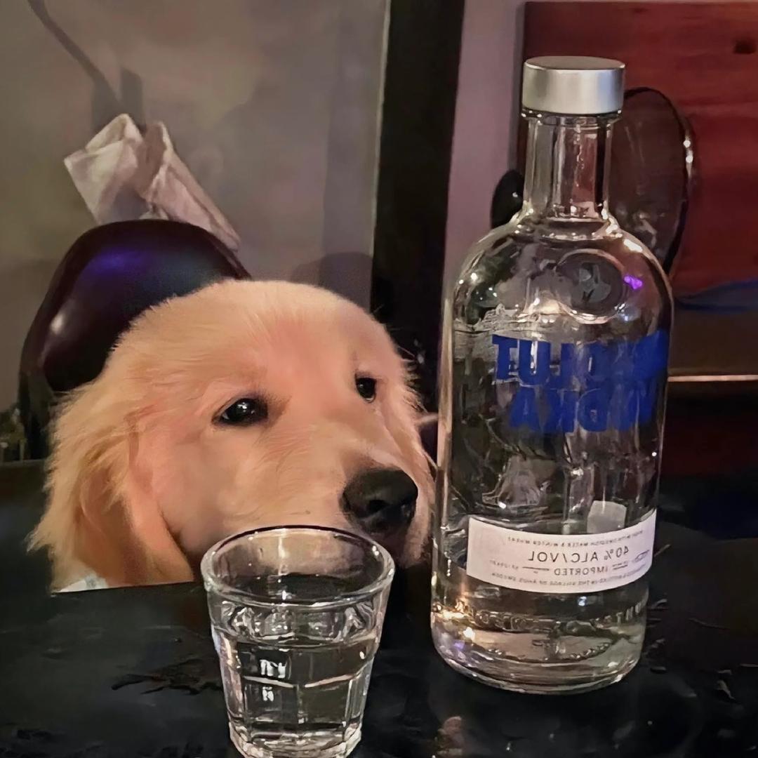 故事藏于冬