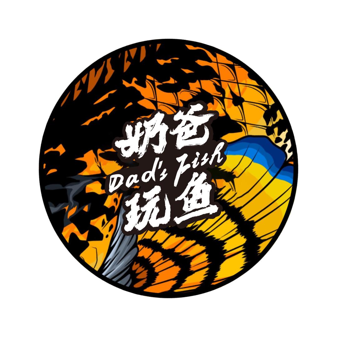 奶爸玩鱼Dad's fish