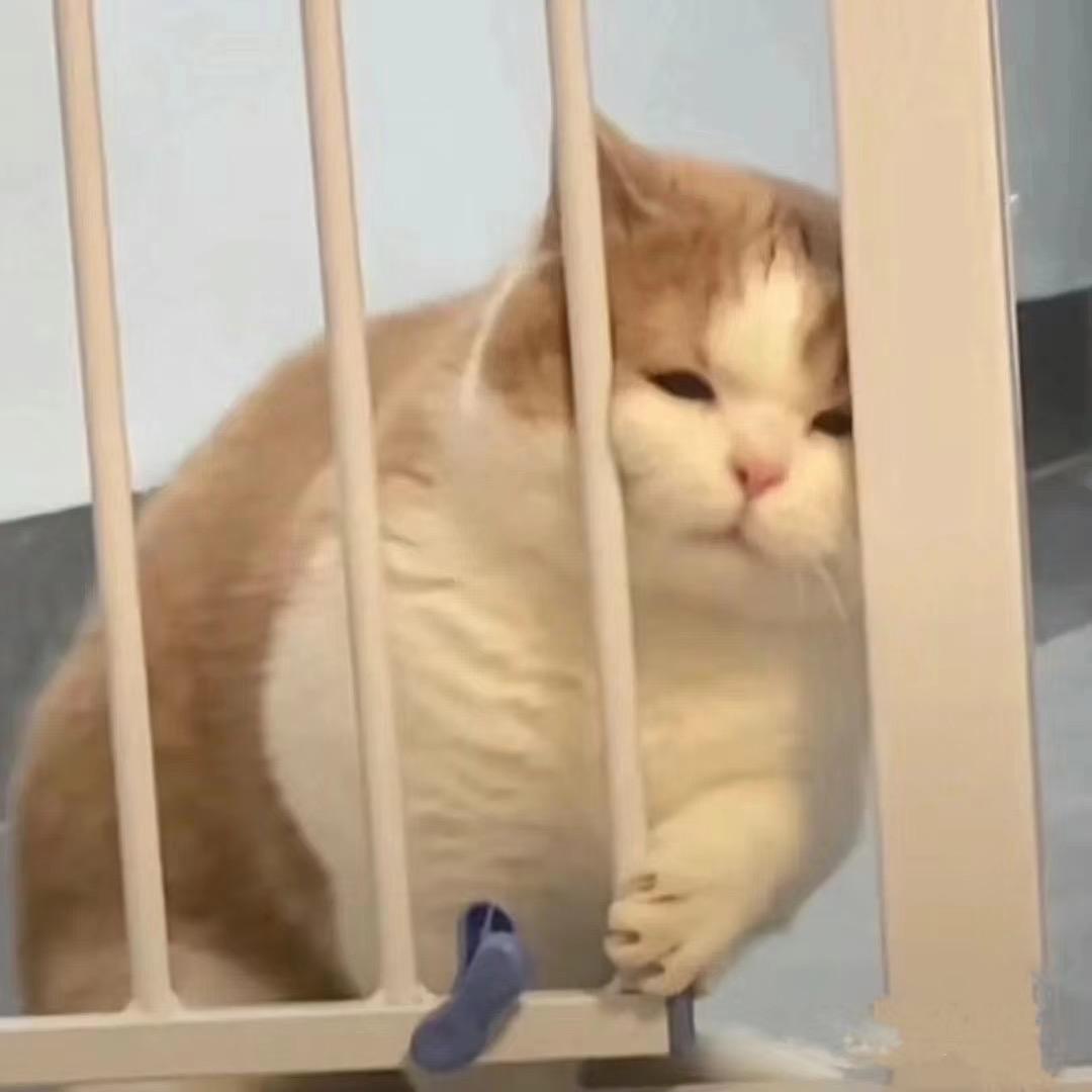重生之我是懒羊羊
