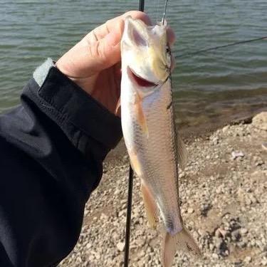 鱼乐无限户外伸缩