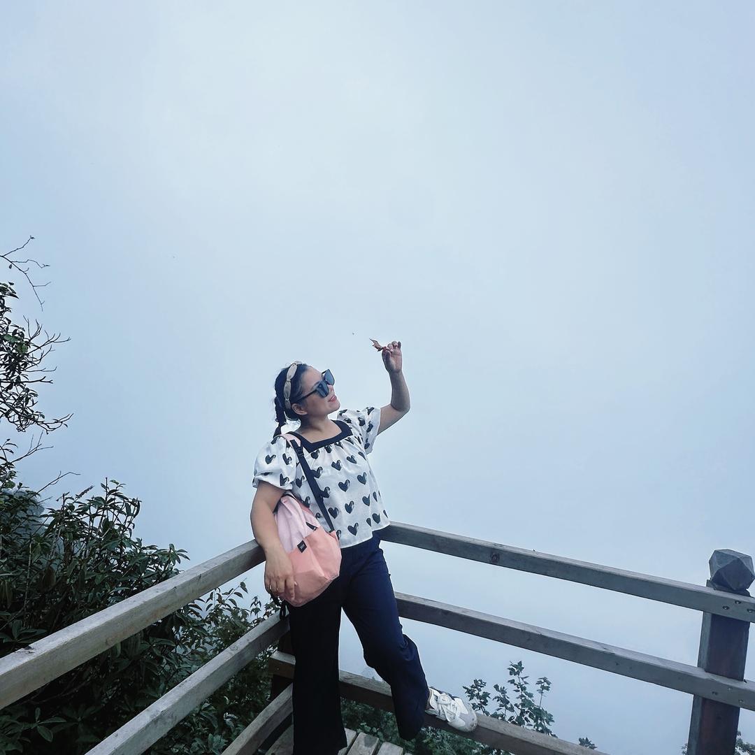 躲在森林的一只猫