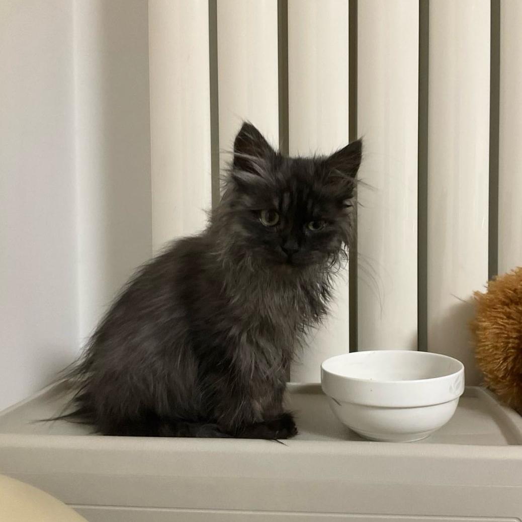 山鬼不识字♨️