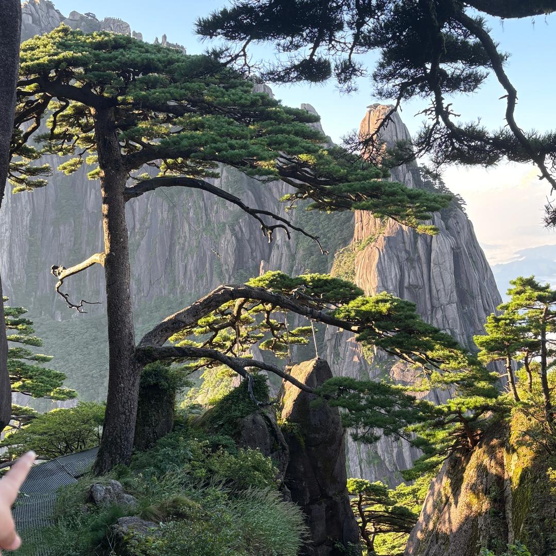 一王情深（求关注）