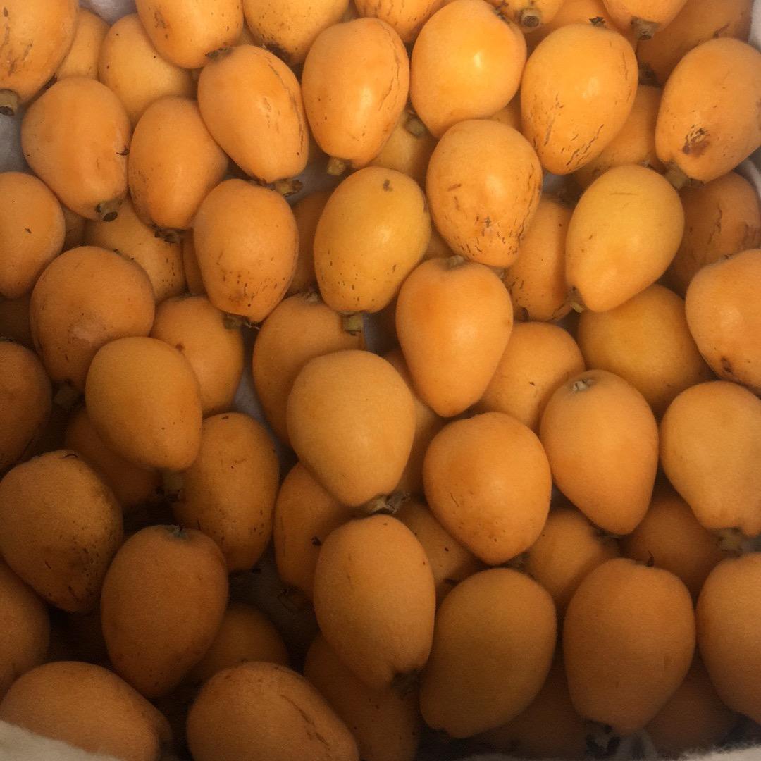 莆田特产一无锡店