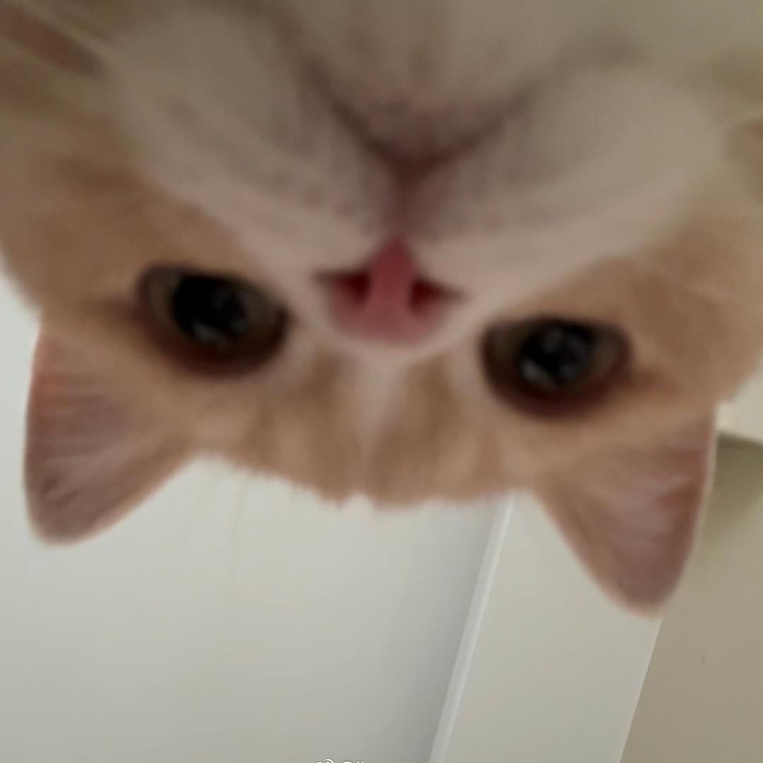 讨厌虫子🐛……